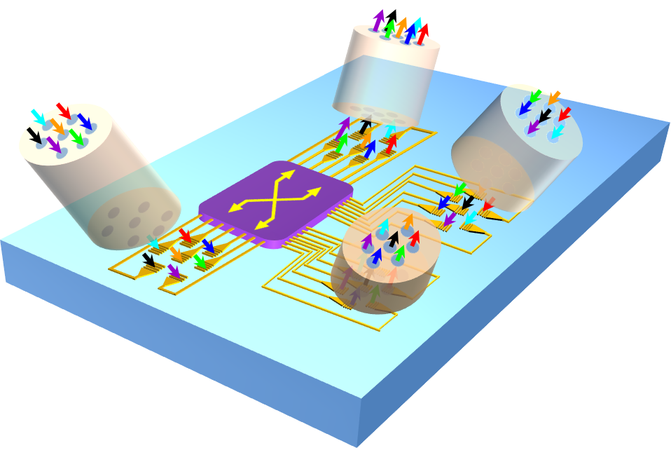 Schematic of a silicon PIC-based ROADM